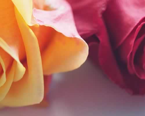 老婆出轨怎么处理最好？女人出轨婚姻能继续吗_嘉待情感