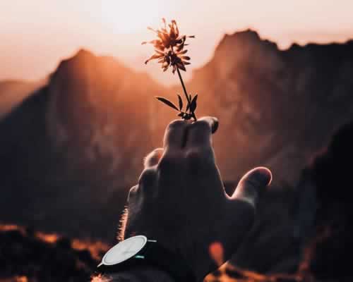 分手后对异性失去兴趣？解析择偶困惑与自我提升之道