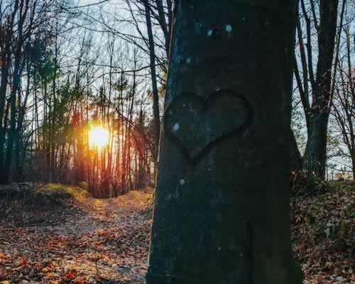 恋爱中男友冷淡怎么办 8个关键原因分析-玫瑰婚恋恋爱网