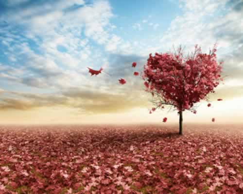 异地恋信任危机：男方冷处理女方焦虑该如何破局？-玫瑰婚恋恋爱网