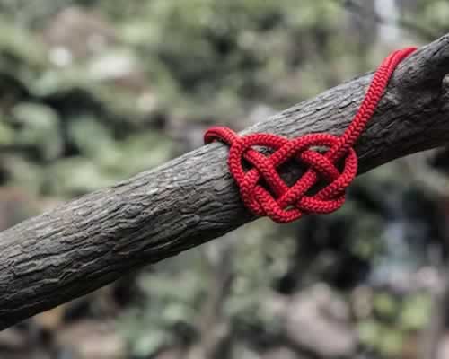 网恋分手后如何挽回？掌握沟通技巧与情感修复关键-玫瑰婚恋恋爱网