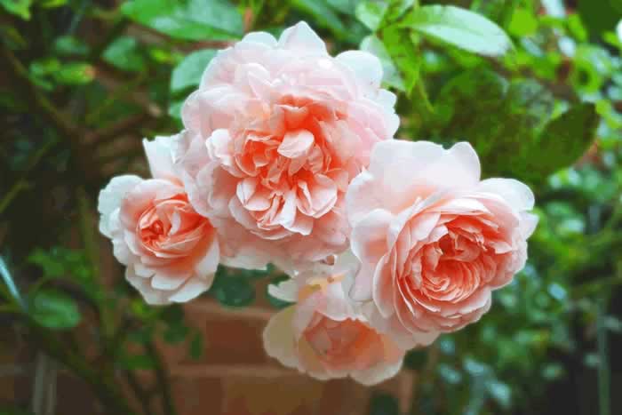 背叛婚姻的男人，会真心回归家庭吗？来听听已婚男人的心里话_嘉待情感