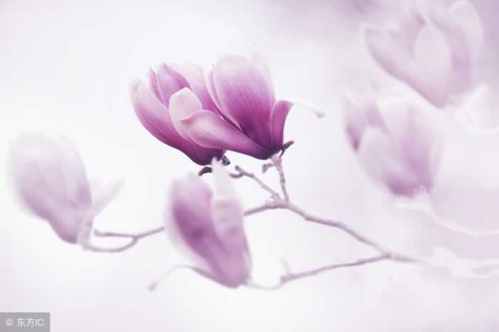 当女人对男人，这三件事不管不问时，男人要小心了_嘉待情感