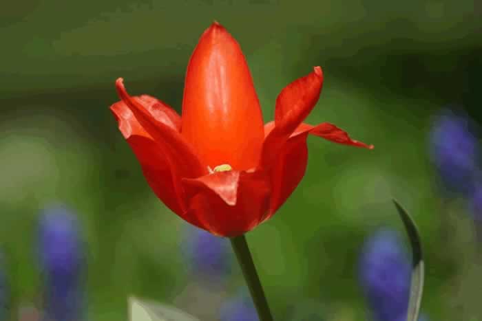 男人有以下三种冷漠表现，不是情商低，而是不爱你了_嘉待情感