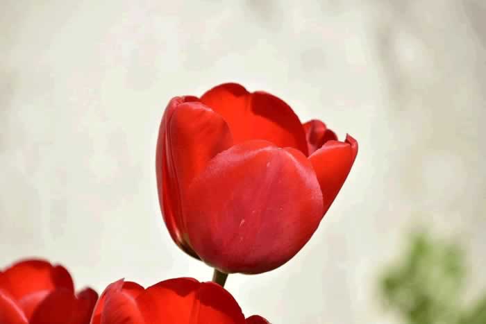 男人有以下三种冷漠表现，不是情商低，而是不爱你了_嘉待情感