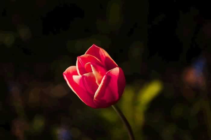 男人有以下三种冷漠表现，不是情商低，而是不爱你了_嘉待情感