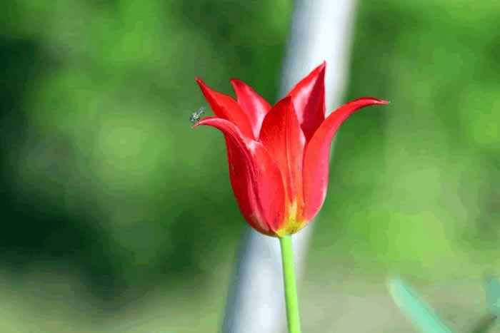 男人有以下三种冷漠表现，不是情商低，而是不爱你了_嘉待情感