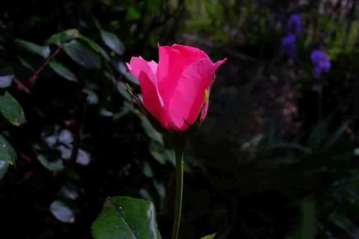 三个表现，说明男人彻底不爱你了，别再纠缠了_嘉待情感