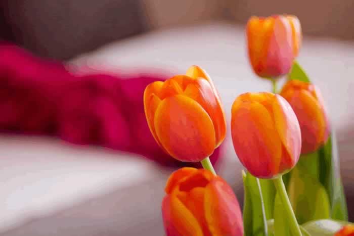 男人有以下三种冷漠表现，不是情商低，而是不爱你了_嘉待情感