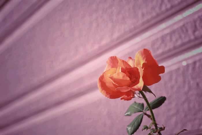 三个表现，说明男人彻底不爱你了，别再纠缠了_嘉待情感