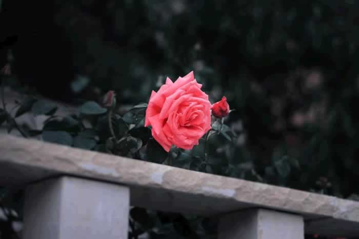 三个表现，说明男人彻底不爱你了，别再纠缠了_嘉待情感