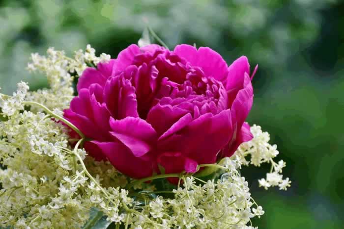 抓住男人心的秘诀：半糖主义_嘉待情感