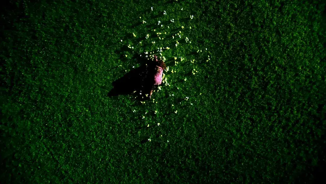 无底线的讨好别人，是怎么毁了你的婚姻的？_嘉待情感