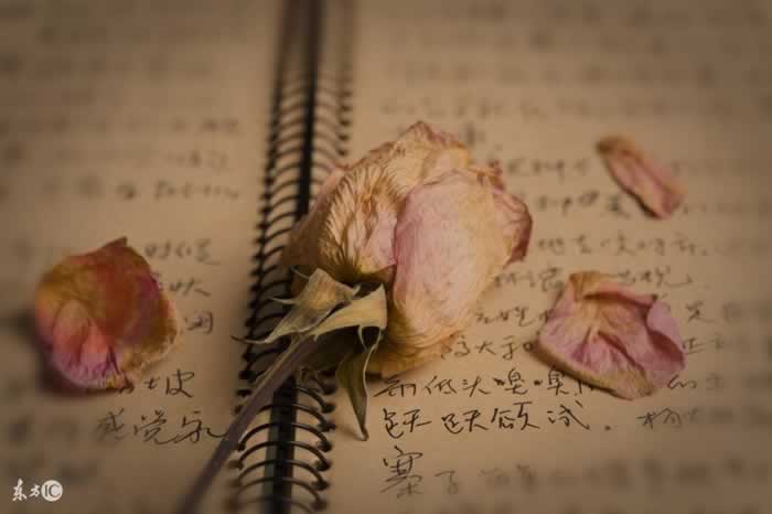 别再傻傻的挽留了，用对了方法让他后悔提分手主动求和_嘉待情感