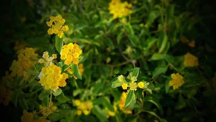 背叛的伤痛，可能无法治愈？该怎么办？_嘉待情感