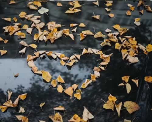 情侣吵架后如何正确处理让感情更好,掌握这些方法很重要-玫瑰婚恋恋爱网