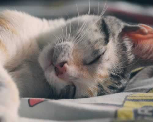 征服男人的方法，不是花他的钱，而是花他的心_嘉待情感