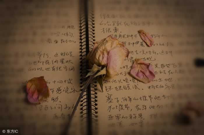 挽回的你，要学会在感情中做一个拎得清的女人_嘉待情感