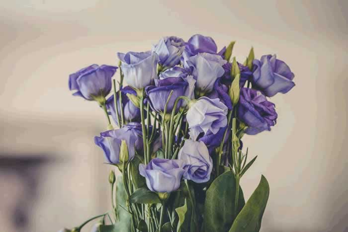 能让女人下定决心离婚的理由，其实只有一个_嘉待情感