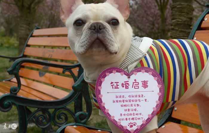 发个朋友圈也能撩人?看看挽回大师怎么指导朋友圈建设_嘉待情感 发个朋友圈也能撩人?看看挽回大师怎么指导朋友圈建设_嘉待情感