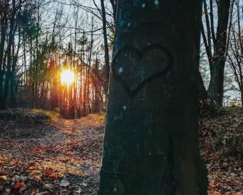 男性恋爱心理四大秘密：契可尼效应下的情感博弈策略-玫瑰婚恋恋爱网