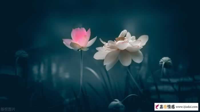 男人铁了心要离婚还能挽回吗_嘉待情感