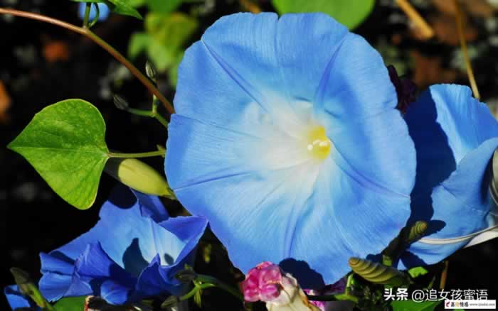 老婆太物质了还有挽回的必要吗？告诉你答案！_嘉待情感