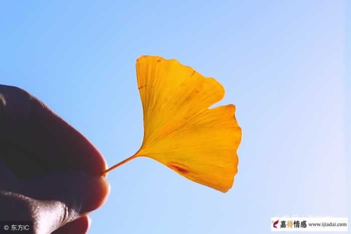 男人出轨了，最怕问的三句话！_嘉待情感