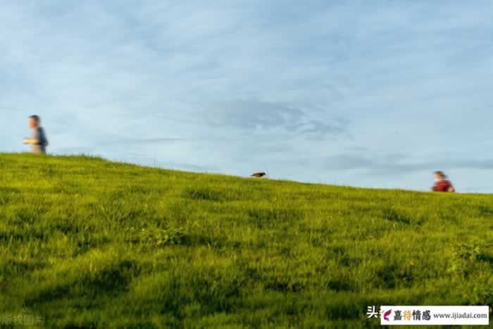 分手后，掌握好四大挽回黄金期，再绝情的他都能乖乖回头（上）_嘉待情感