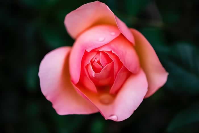 如何远离低质量的“爱”？_嘉待情感