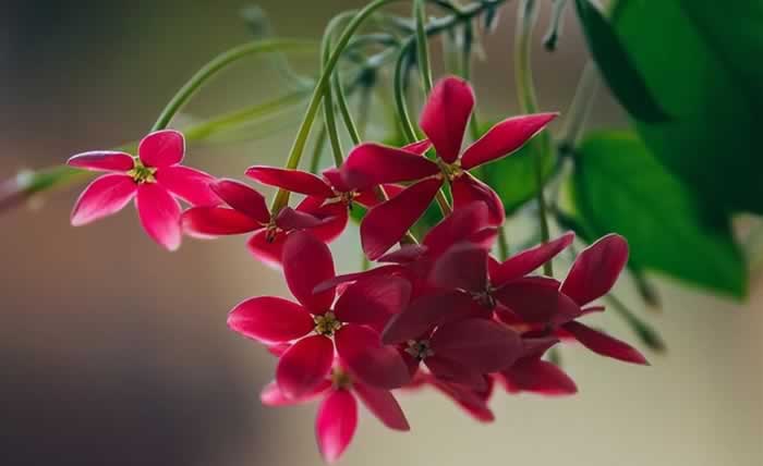 好像不够爱，却又舍不得分开，该怎么办？_嘉待情感