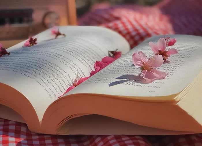 好像不够爱，却又舍不得分开，该怎么办？_嘉待情感