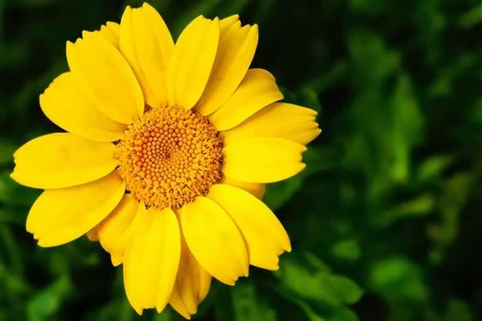 好像不够爱，却又舍不得分开，该怎么办？_嘉待情感