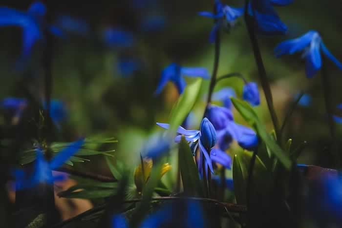 人到中年遭遇婚姻危机？找到一种感觉时，说明你活明白了_嘉待情感