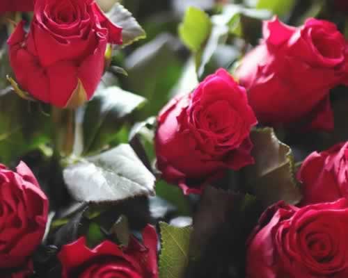 手把手教你如何打造精致的朋友圈！_嘉待情感