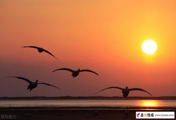 我所遇到的那些烂好人，结果都怎么样了？_嘉待情感