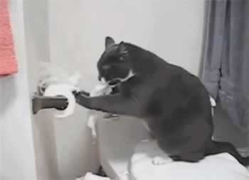 前男友刚开始都有回复，后面发什么消息都不回，该怎么办呢？_嘉待情感