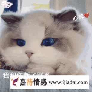 女同分手应该怎样挽回？_嘉待情感