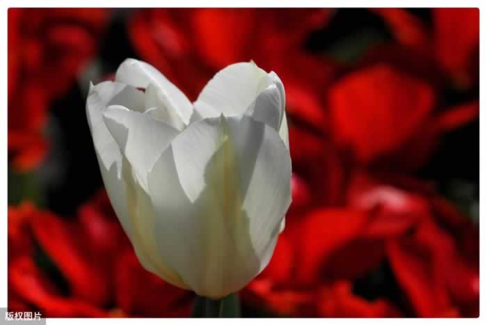 男人不愿做家务怎么办？学用这四个小技巧，让他主动做家务_嘉待情感