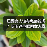 已婚女人该存私房钱吗?听听这些聪明女人做法(图2) 已婚女人该存私房钱吗?听听这些聪明女人做法(图2)