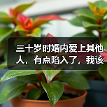 三十岁时婚内爱上其他人,有点陷入了,我该怎么办?(图3) 三十岁时婚内爱上其他人,有点陷入了,我该怎么办?(图3)