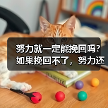 努力就一定能挽回吗?如果挽回不了,努力还有意义吗?(图2) 努力就一定能挽回吗?如果挽回不了,努力还有意义吗?(图2)