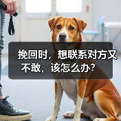 挽回时,想联系对方又不敢,该怎么办?(图3) 挽回时,想联系对方又不敢,该怎么办?(图3)