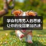 学会利用男人的思维,让你的挽回更加迅速(图2) 学会利用男人的思维,让你的挽回更加迅速(图2)