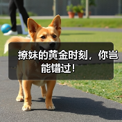 撩妹的黄金时刻，你岂能错过！（图4）