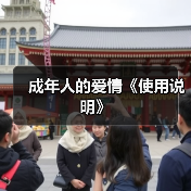 成年人的爱情《使用说明》(图1) 成年人的爱情《使用说明》(图1)
