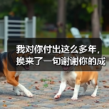 我对你付出这么多年,换来了一句谢谢你的成全(图1) 我对你付出这么多年,换来了一句谢谢你的成全(图1)