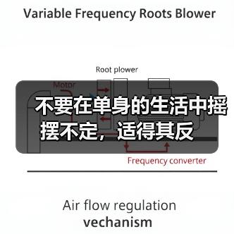 不要在单身的生活中摇摆不定，适得其反（图2）