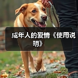 成年人的爱情《使用说明》(图4) 成年人的爱情《使用说明》(图4)