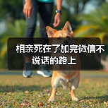 相亲死在了加完微信不说话的路上（图4）